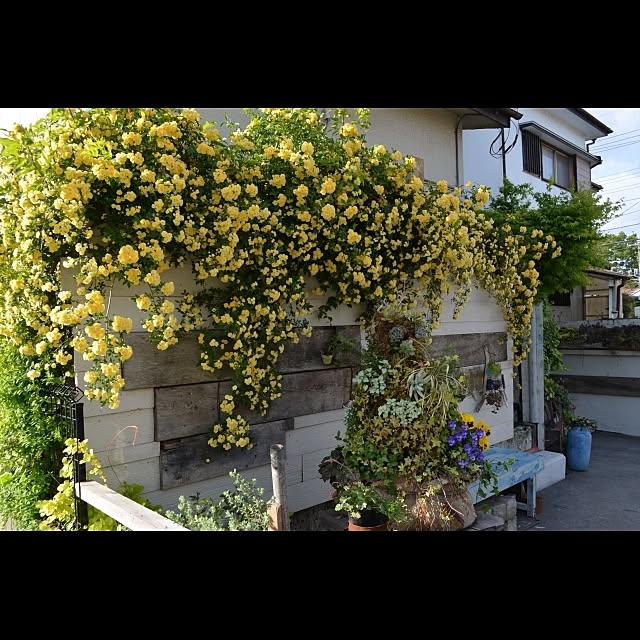 GreenWorksさんの実例写真