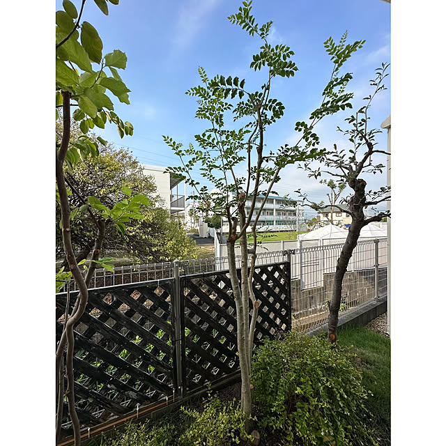 nono.0129さんの部屋