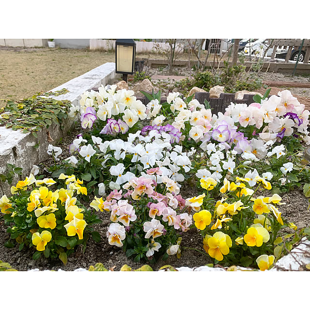 kaさんの実例写真