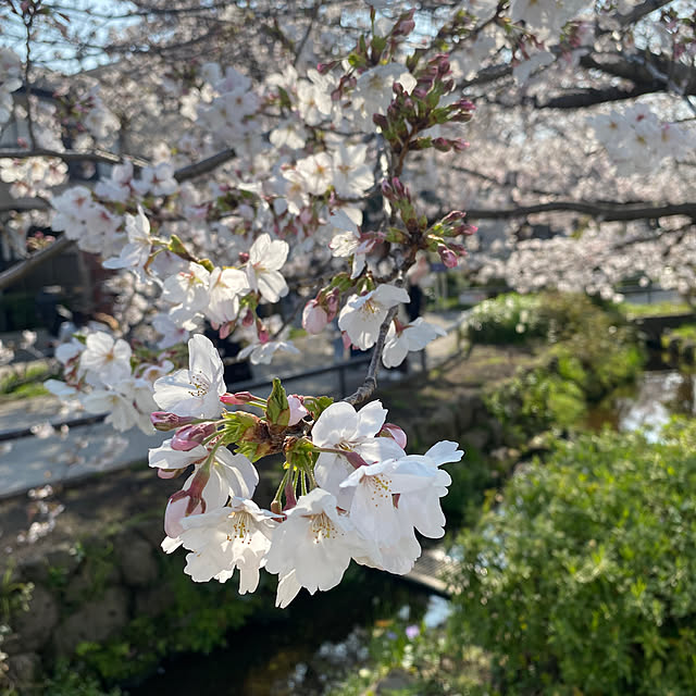 fu-mufumuさんの部屋