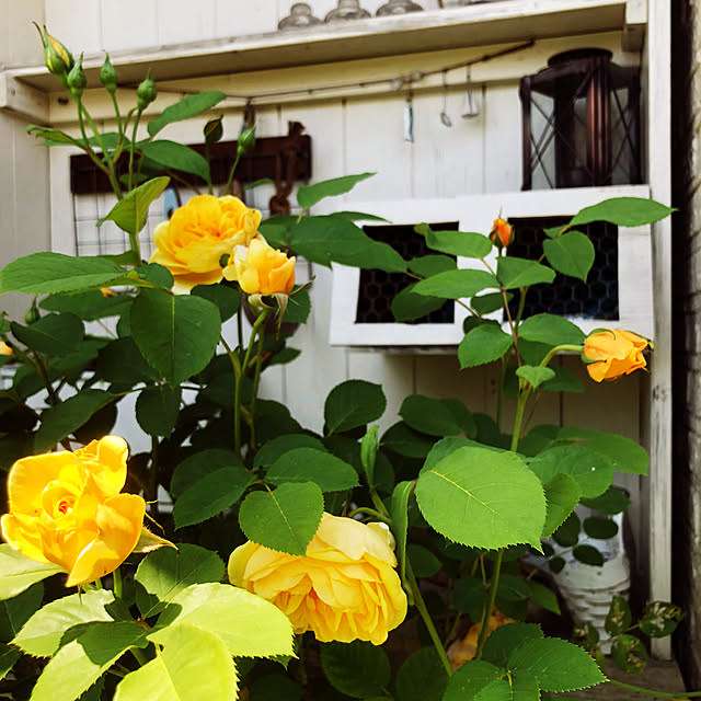 osarunoeijiさんの部屋