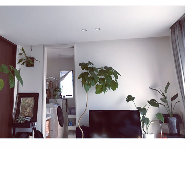 home_m_styleさんの実例写真