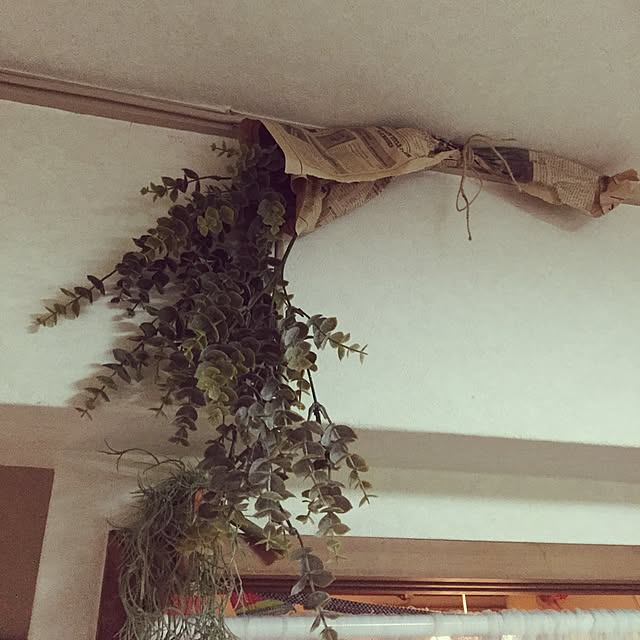 piroyurayura0104さんの実例写真