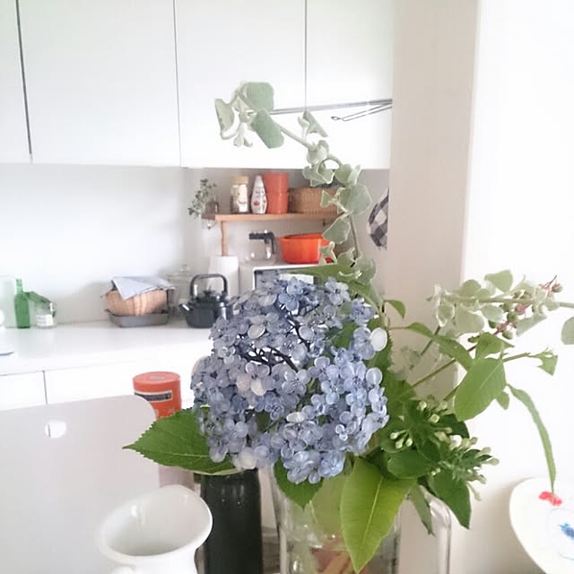 tmhaさんの実例写真