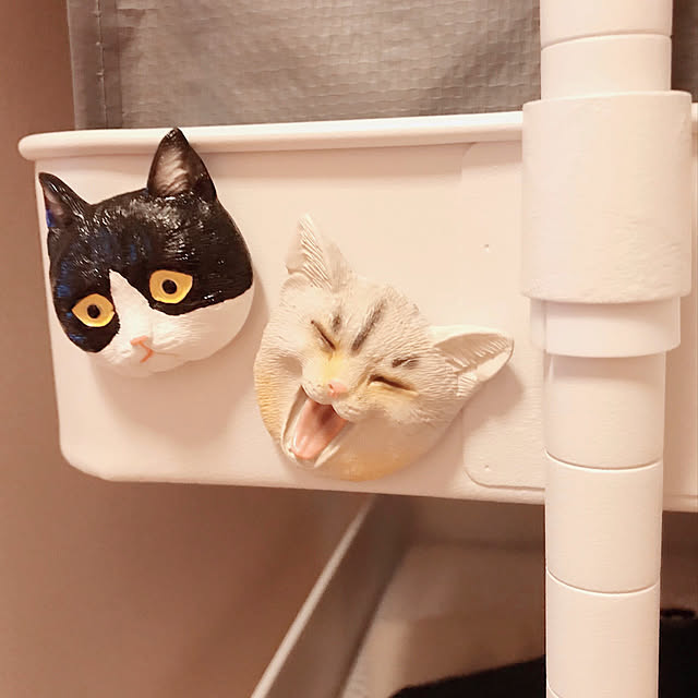chikoさんの実例写真