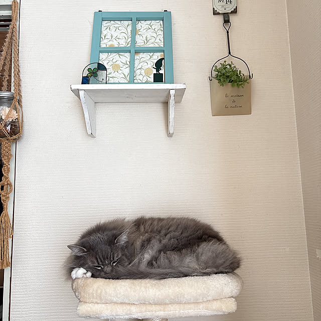 mii-tanさんの部屋