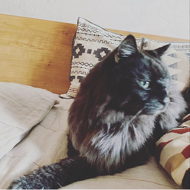 puffloveさんの実例写真