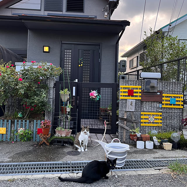 jijiさんの実例写真
