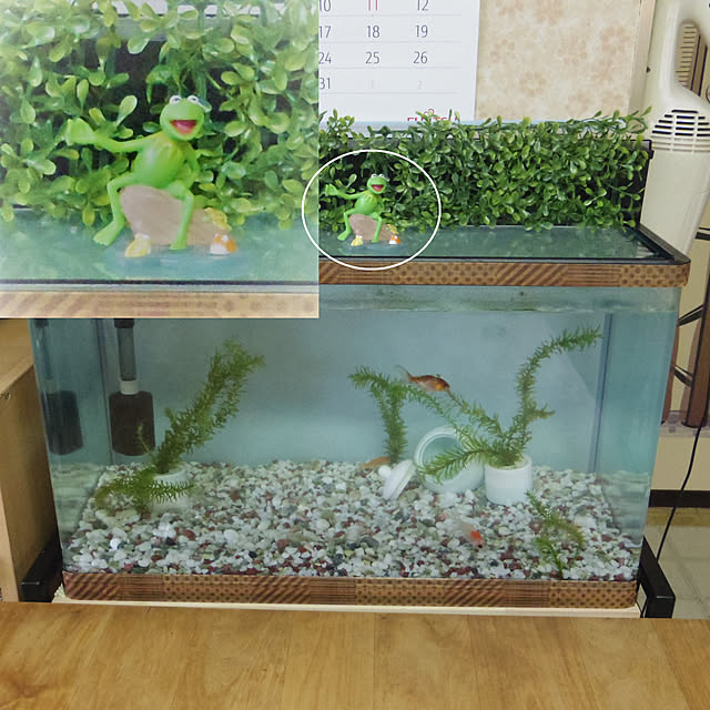 acoさんの実例写真