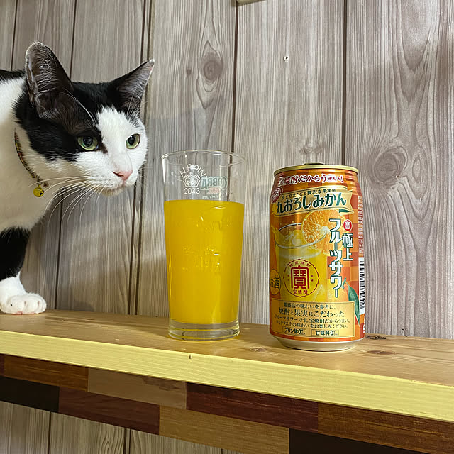 SHIHOさんの実例写真