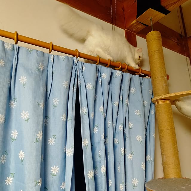 makaronさんの実例写真