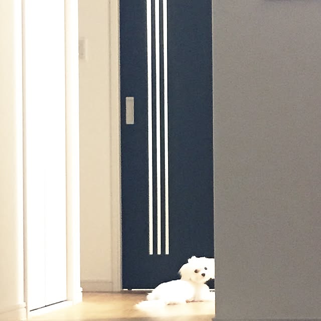 u_ron_raiさんの実例写真