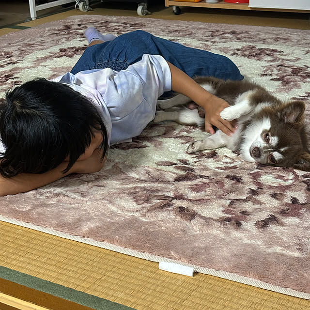 chIoeさんの部屋