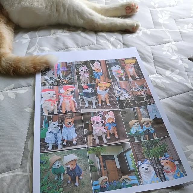 NOAHさんの部屋