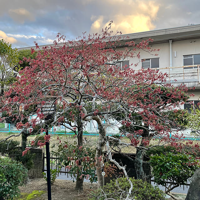 shin0719さんの部屋