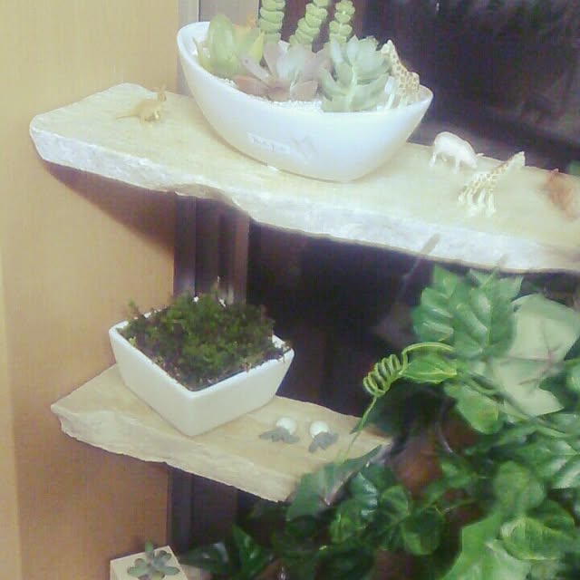 daichiさんの実例写真