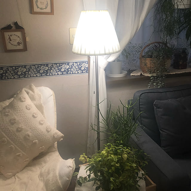 himetanさんの実例写真