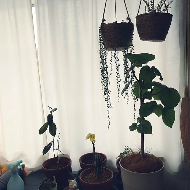 m.mさんの部屋