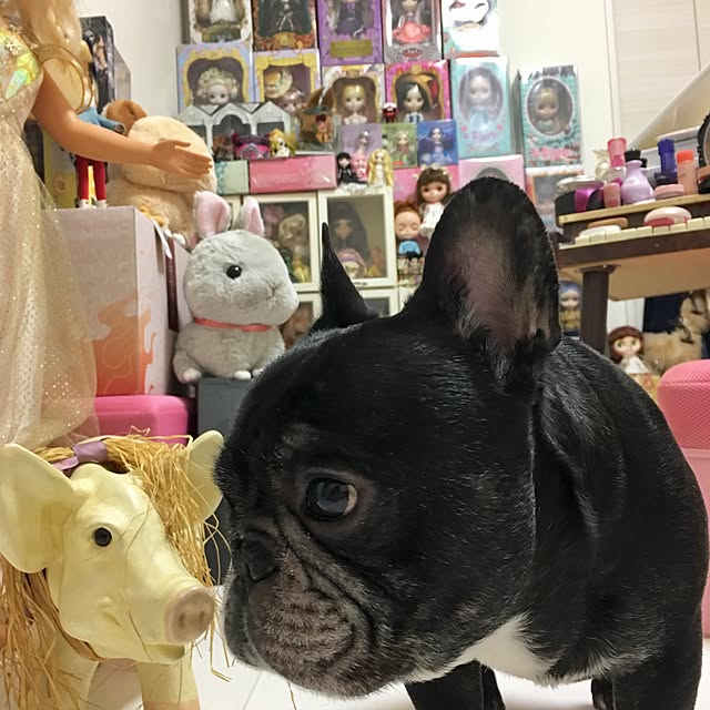 実例写真