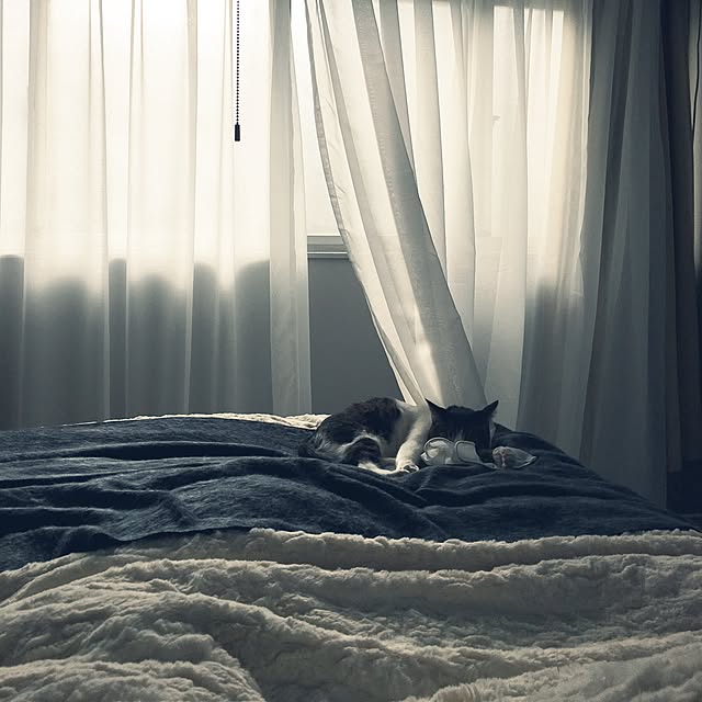 Shihoさんの実例写真