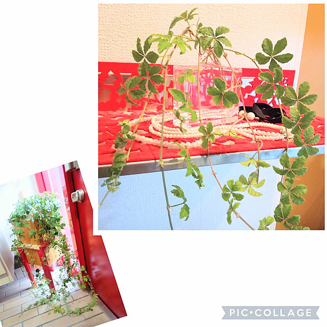 ampinさんの実例写真