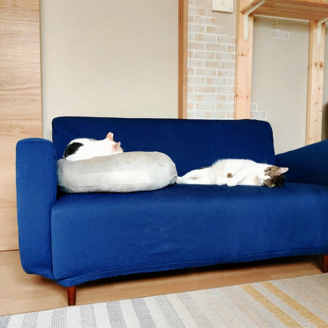 kirakirahikaruさんの実例写真