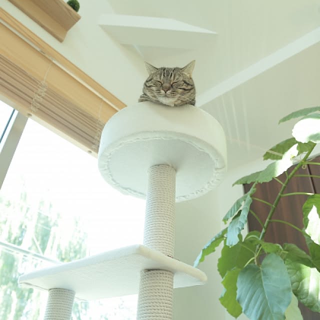 haruhouseさんの実例写真