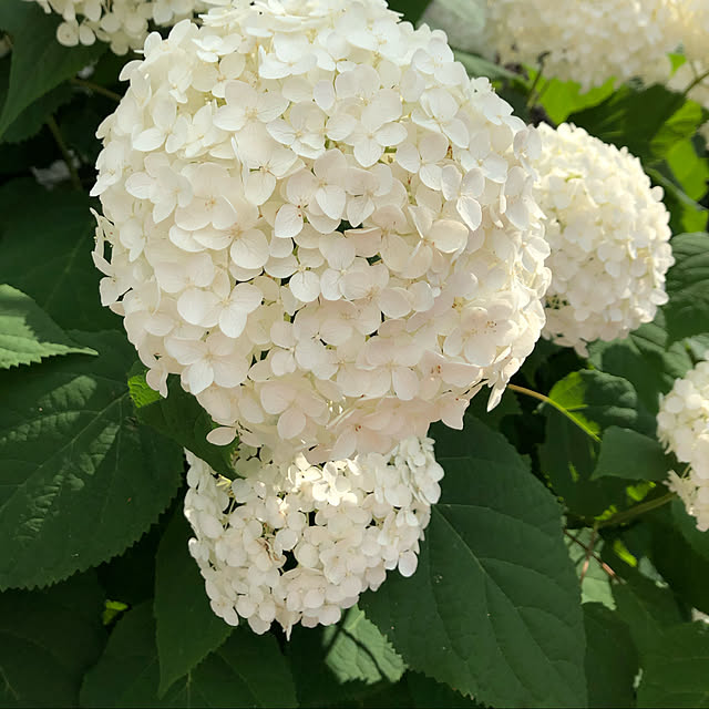 yururiさんの実例写真