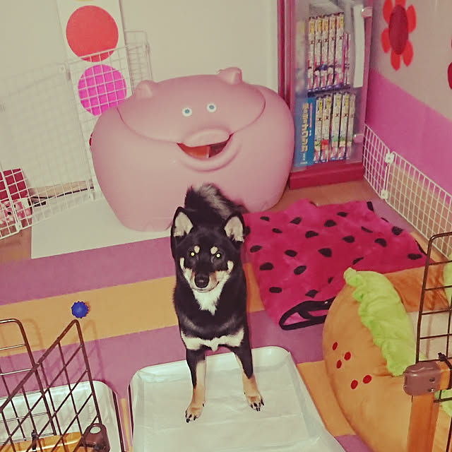 xxxakyxxxさんの実例写真