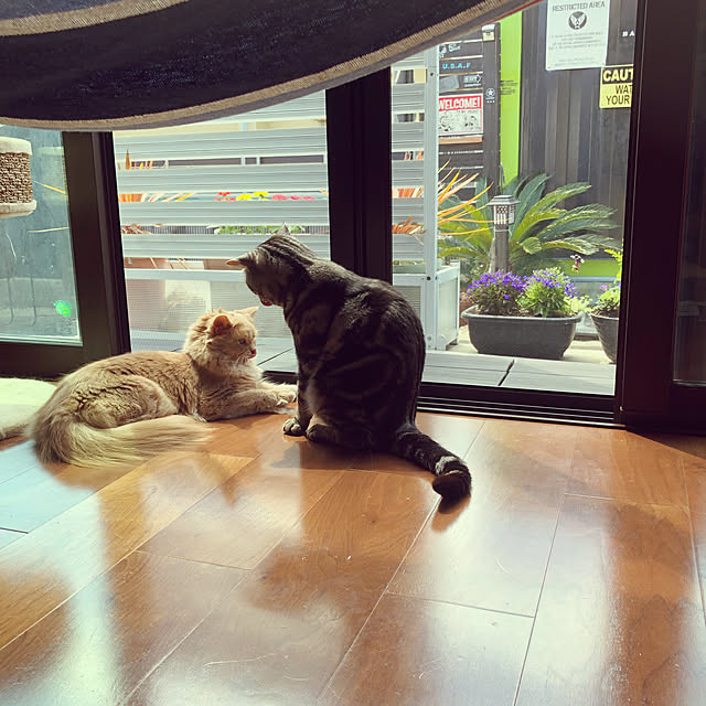 r.t.mamaさんの実例写真