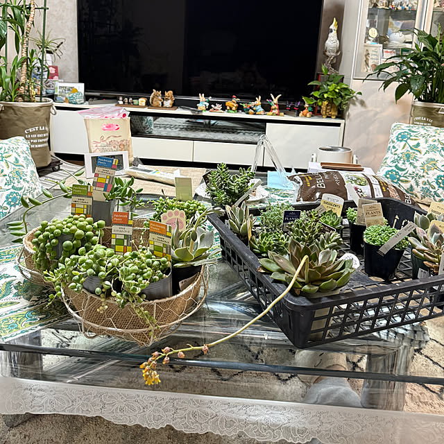 Aqettyさんの部屋