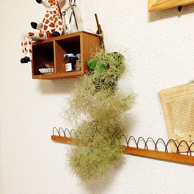 greenmenさんの実例写真