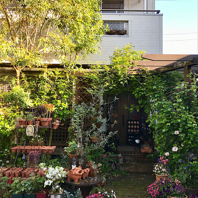 butachanさんの部屋