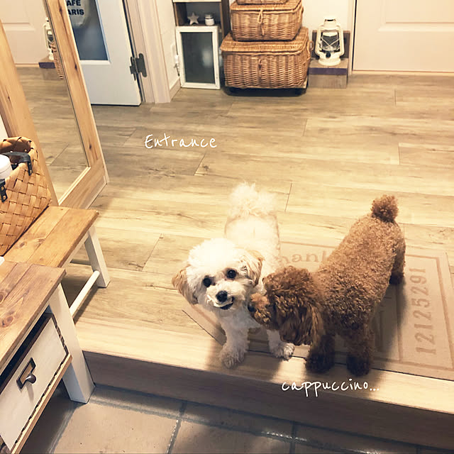 nikoさんの実例写真