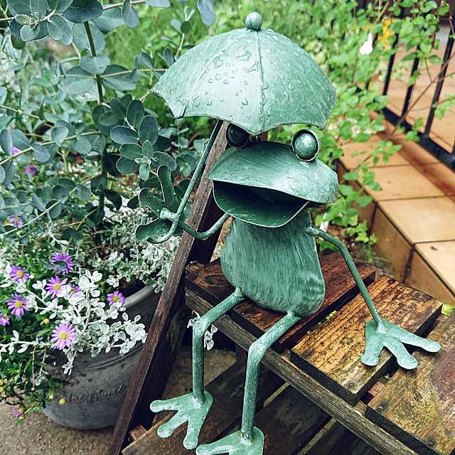 s_h_yさんの実例写真