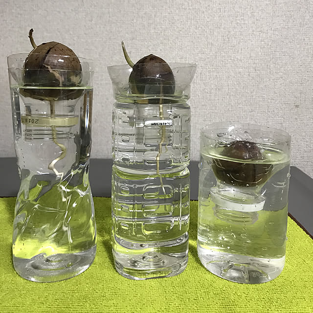 picarinnさんの実例写真
