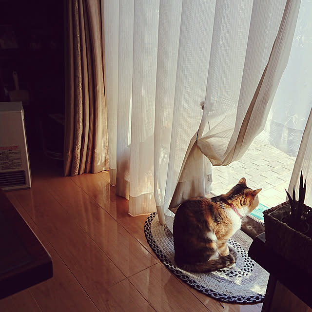 akiさんの実例写真