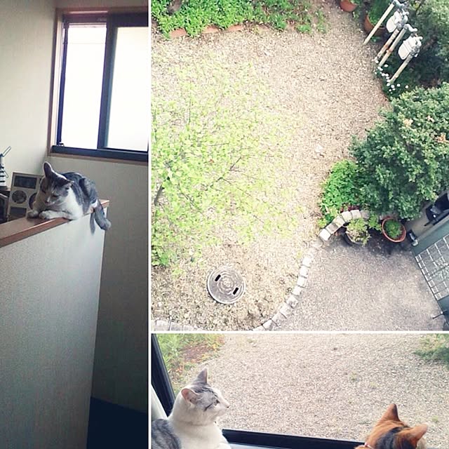 Mikaさんの実例写真