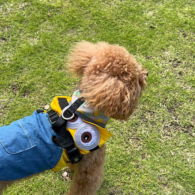makiさんの実例写真
