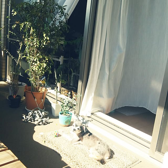 satominさんの実例写真