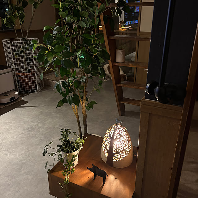 taeoさんの部屋
