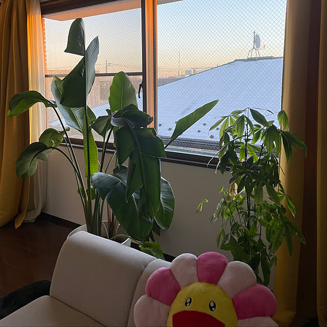 michiさんの実例写真