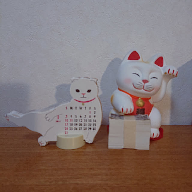 jkabmymycatさんの実例写真