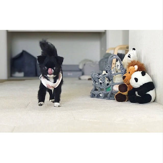 haruhinaさんの実例写真