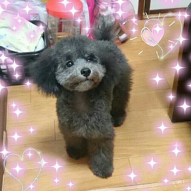 miyaviさんの実例写真