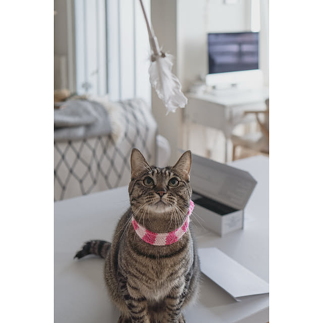 oliveさんの実例写真