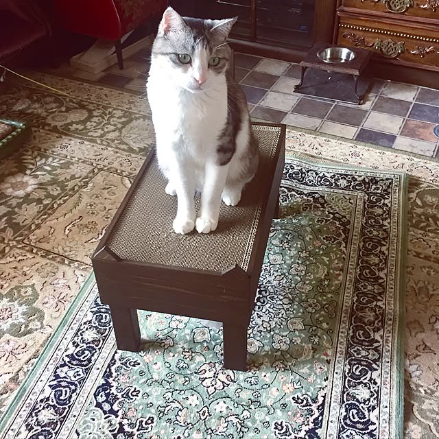 emmyyさんの実例写真