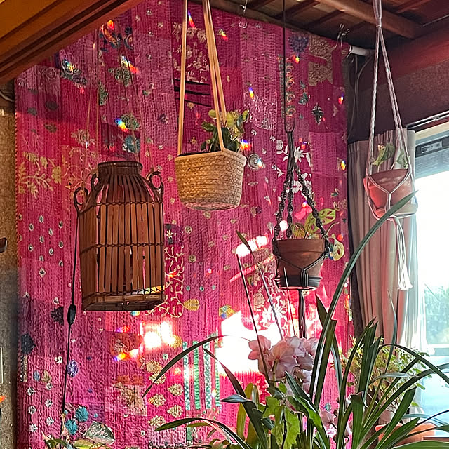shin0719さんの実例写真