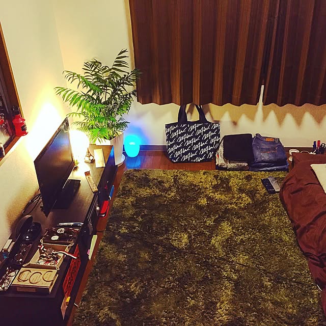 部屋全体/観葉植物/照明/多肉植物/雑貨...などのインテリア実例 - 2016-07-05 06:00:14