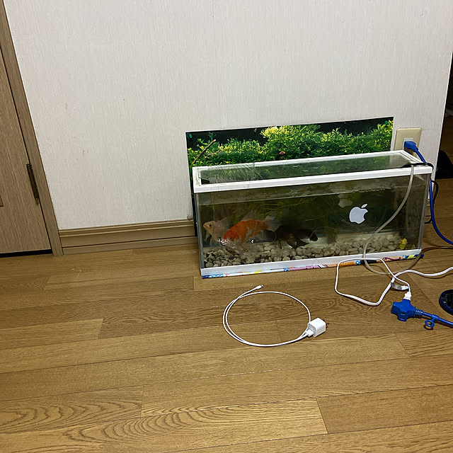 机のインテリア実例 - 2020-03-29 19:34:00